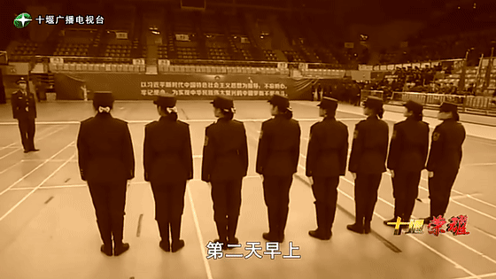 創(chuàng)業(yè)是一條無比艱辛的路，創(chuàng)新更是無限風光在險峰。在男性為主導的商海里，女性創(chuàng)業(yè)創(chuàng)新需要鼓足十萬分的勇氣和力量，是挑戰(zhàn)未來成功的小概率事件。而十堰姑娘楊麗便是這小概率事件中的一個傳奇，也是女性創(chuàng)業(yè)創(chuàng)新的榜樣。今天就來認識這位傳奇女性-興千田集團楊麗。